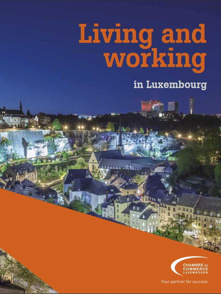 Learn Pub - Living and Working in Lux