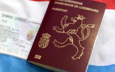 Dual Citizen Insights