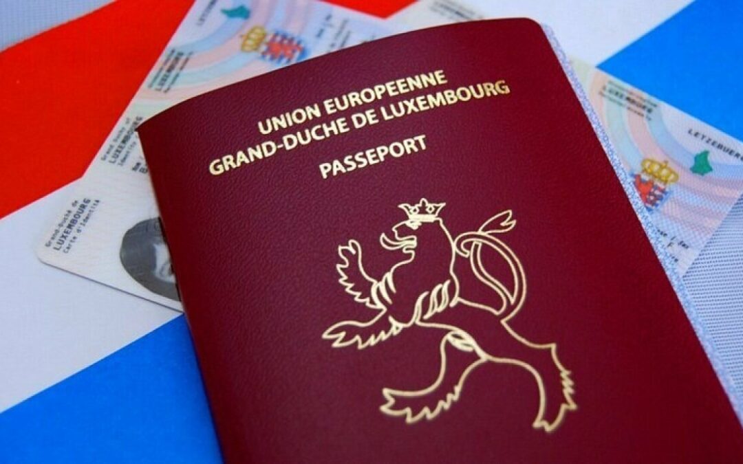 Dual Citizen Insights
