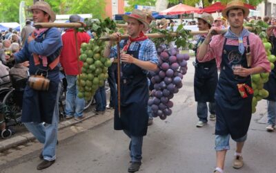 Luxembourg Wine and 2026 Wine Festivals  